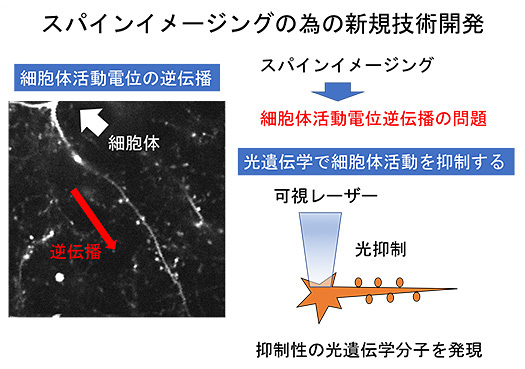 研究テーマ画像